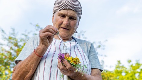 Najmočnejši naravni antibiotik se nahaja v tej rastlini