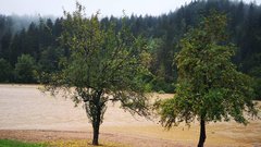 Starejši domačin iz Sela pravi, da takšnih poplav zadnjih 15 let ne pomni.