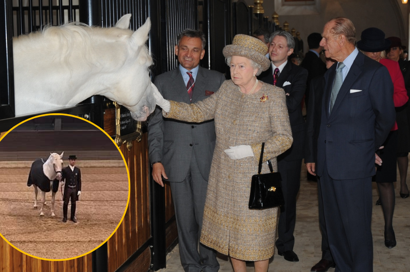 (FOTO) V kobilarni Lipica je imela svojega konja tudi kraljica Elizabeta ll.: tako ganljivo so ji izrekli zadnje slovo (foto: Facebook/Kobilarna Lipica/British Embassy Ljubljana/fotomontaža)