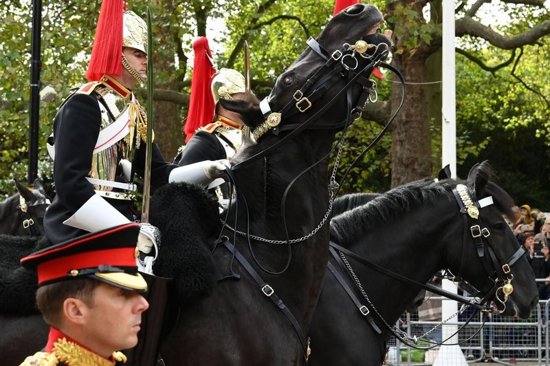 Kraljica je oboževala konje, mi pa poznamo žalosten razlog, zakaj je niso pospremili k večnemu počitku (foto: Profimedia)