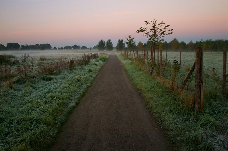 Zbudili smo se v zelo hladno jutro: tako mrzlo ni bilo že od aprila (foto: Profimedia)