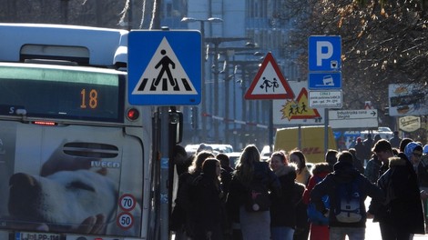 V začetku prihodnjega leta Ljubljančane čaka novost