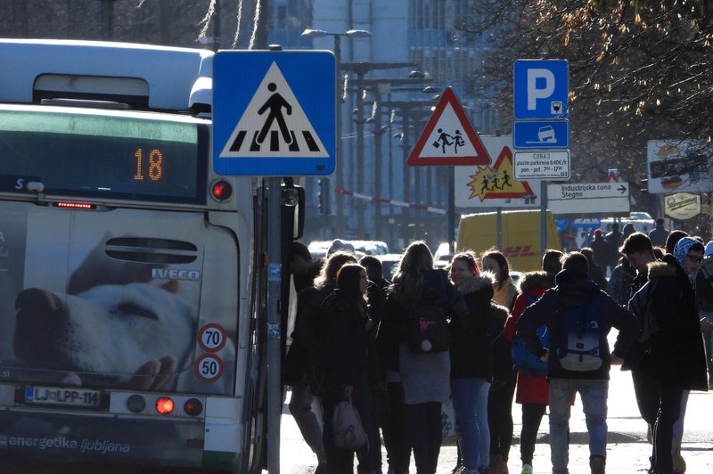 V začetku prihodnjega leta Ljubljančane čaka novost (foto: Bobo)