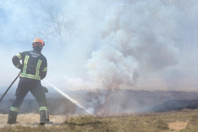 Gasilci v požarih na Krasu z veliko mero požrtvovalnosti: koliko denarja bo za sanacijo namenila država? (foto: Bobo/fotomontaža)