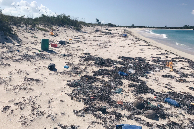 Propadli raj: Bahami niso več kos ogromnemu številu turistov (foto: Twitter/Dona Bertarelli)