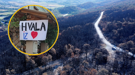 Za obnovo Krasa po požaru dobrodelni Slovenci še vedno zbiramo denar: kdo je namenil največ pomoči?