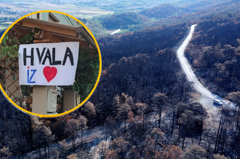 Za obnovo Krasa po požaru dobrodelni Slovenci še vedno zbiramo denar: kdo je namenil največ pomoči? (foto: Bobo/Facebook/Gasilci 112/fotomontaža)