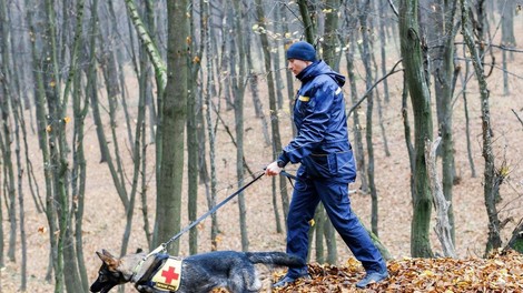 Iskali so ga tri dni, policija je končno sporočila, kaj se mu je zgodilo