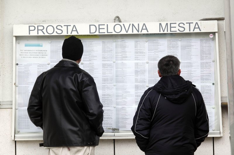 Zaposleni si ogledujejo razpisana delovna mesta. (foto: Bobo)