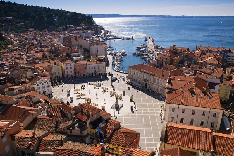 Če Pirančan ne bi opazil nevarnosti, bi se lahko zgodilo najhuje (foto: Profimedia)