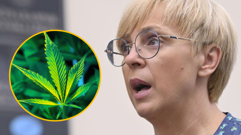 Nataša Pirc Musar o legalizaciji konoplje: "Marihuana ni takšno zlo, kot so govorili v starih časih"