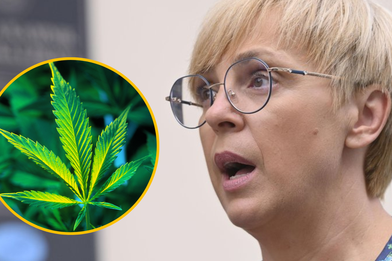 Nataša Pirc Musar o legalizaciji konoplje: "Marihuana ni takšno zlo, kot so govorili v starih časih" (foto: Bobo/Profimedia/fotomontaža)