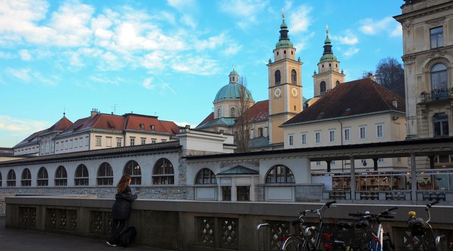 FOTO: V središču Ljubljane postavljeni novi znaki, ste jih že videli? (foto: Profimedia)