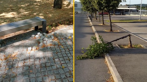 FOTO: Vandali so se znesli nad Sežano, prizanesli niso niti naravi