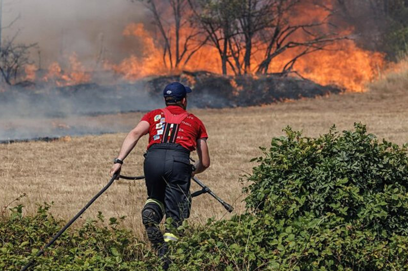 Znano je, ali so bili požari na Krasu podtaknjeni (foto: Profimedia)