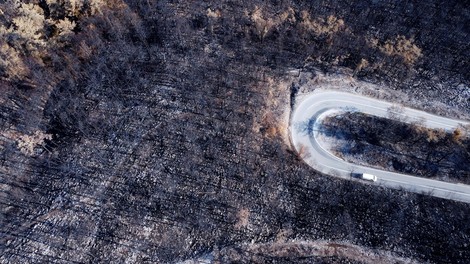 Ob obsežnih požarih v Los Angelesu se spominjamo ene največjih naravnih katastrof pri nas: grozljive podobe še zdaj burijo duhove (FOTO)