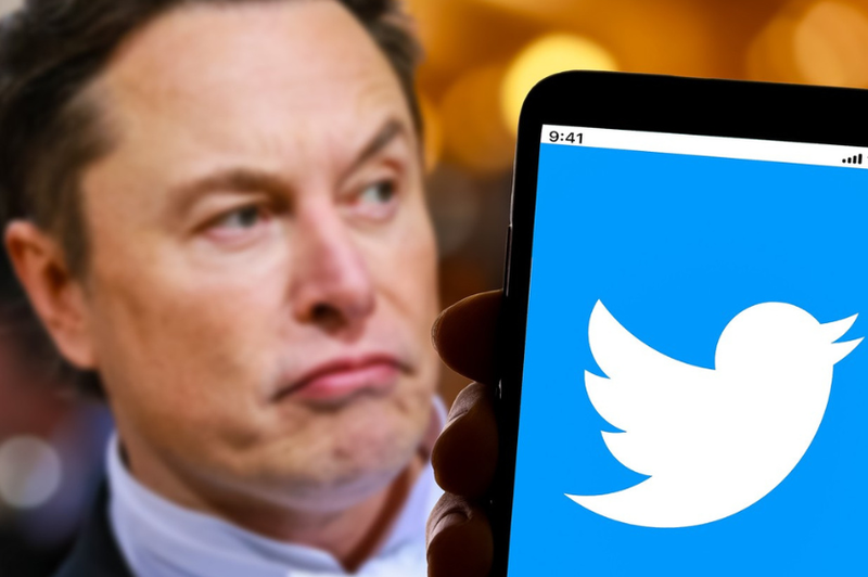 Elon Musk znova pretresel svet Twitterja: njegove napovedi vzbujajo resne skrbi (foto: Profimedia)