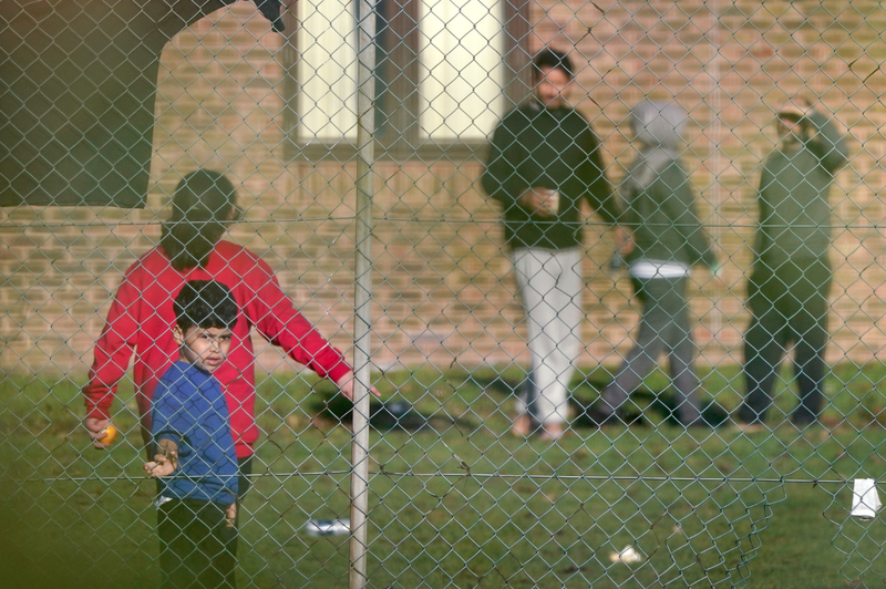 Vse več migrantov na balkanski poti: v Nemčiji pozivi k drastičnim ukrepom (foto: Profimedia)