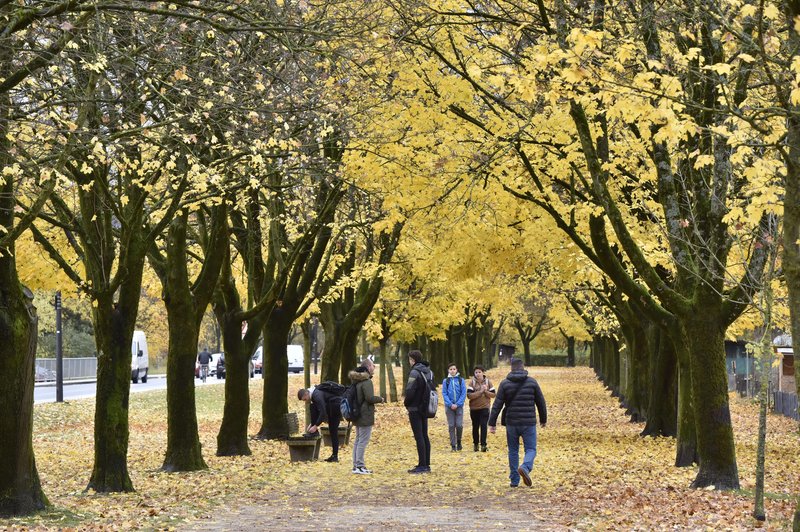 Sonce, oblaki in plohe? Takšno vreme nas čaka v začetku tedna (foto: Žiga Živulović j.r./Bobo)