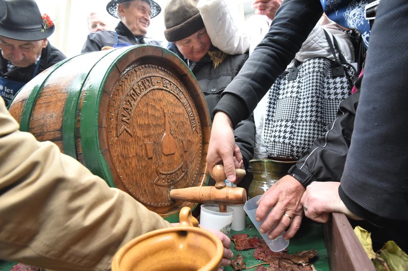 Številni vozniki ob martinovem pregloboko pogledali v kozarec in povzročali zmedo na cestah (foto: Miloš Vujinović/Bobo)