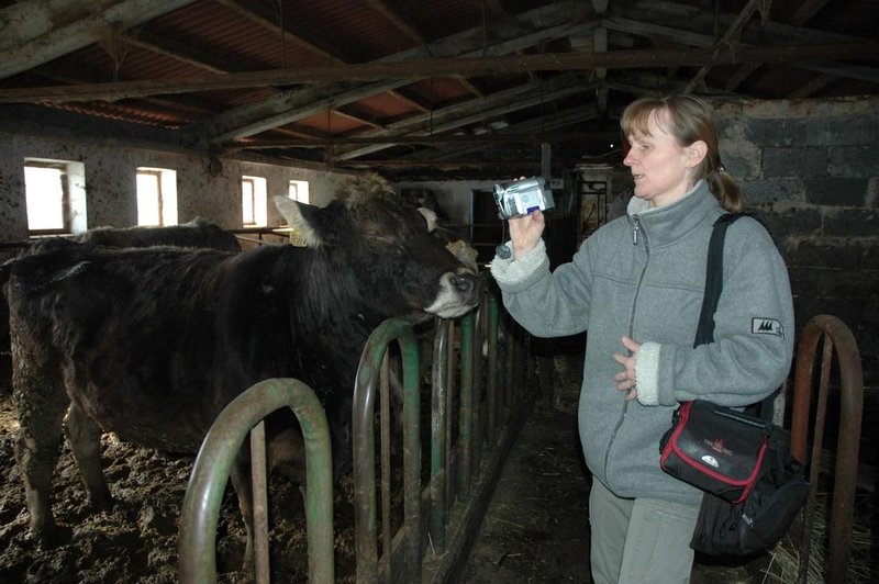 Grozljivi primeri zanemarjanja rejnih živali, državnega zavetišča zanje pa ne potrebujemo? (foto: Profimedia)