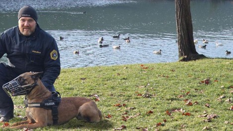 Ovčarka Frida in njen vodnik policist Damjan sredi noči našla pogrešano 86-letno gospo