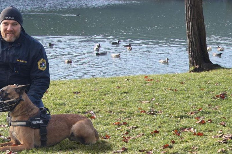 Ovčarka Frida in njen vodnik policist Damjan sredi noči našla pogrešano 86-letno gospo (foto: PU Novo mesto)