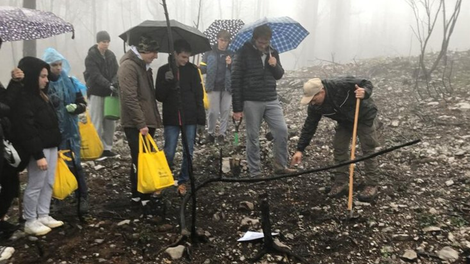 Z dežniki v rokah je več kot 150 srčnih prostovoljcev pomagalo saditi drevesa na Krasu (FOTO)