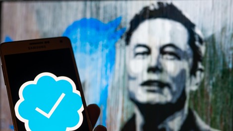 Ko najbogatejšemu Zemljanu ni všeč pogled na stanje na računu: Elon Musk bo služil tudi s Twitterjem (tole je na voljo za 8 evrov)