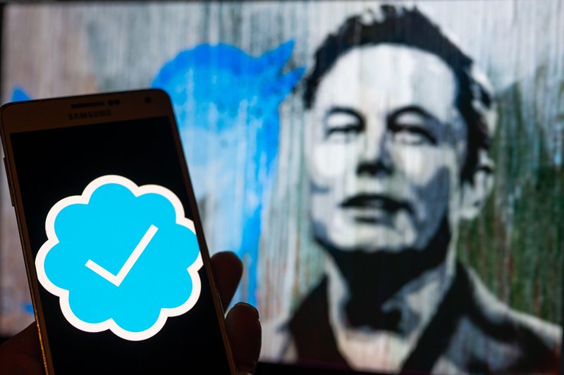 Ko najbogatejšemu Zemljanu ni všeč pogled na stanje na računu: Elon Musk bo služil tudi s Twitterjem (tole je na voljo za 8 evrov) (foto: Profimedia)