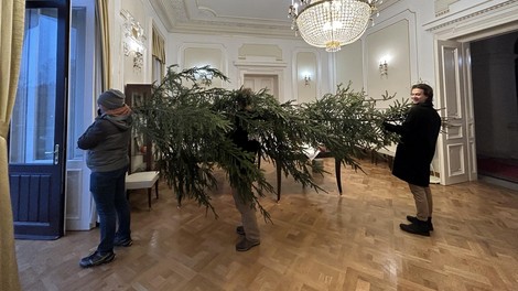 FOTO: Znamenito slovensko stavbo prvič v zgodovini krasi božična smreka