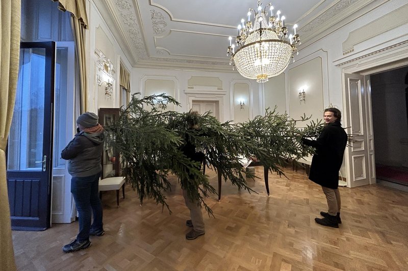 FOTO: Znamenito slovensko stavbo prvič v zgodovini krasi božična smreka (foto: Facebook/Univerza v Ljubljani)