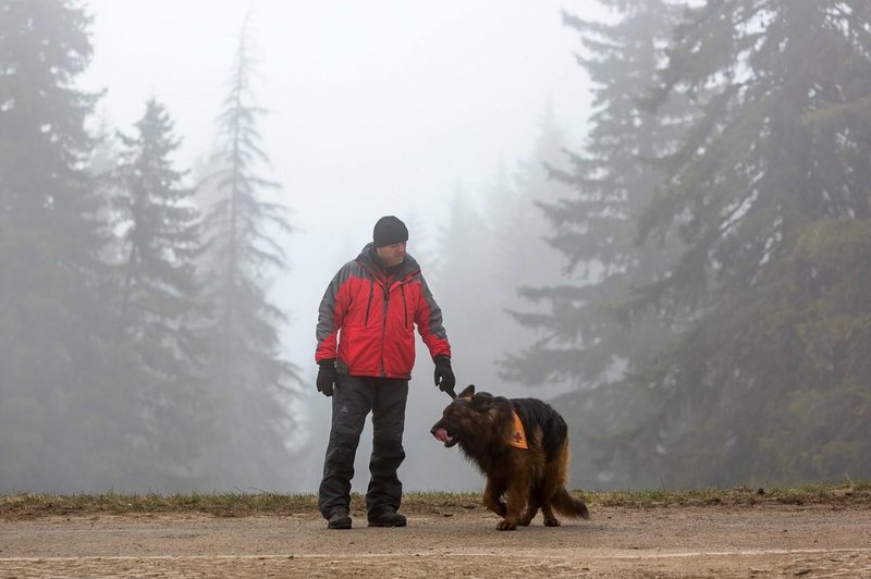 Fotografija je simbolična (foto: Profimedia)