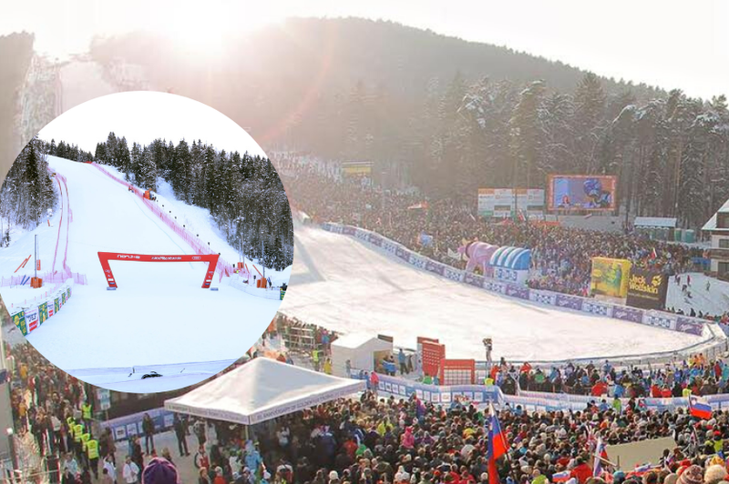 V Mariboru si želijo, da se Zlata lisica vrne "v domači brlog" (foto: Facebook/Zlata lisica/fotomontaža)