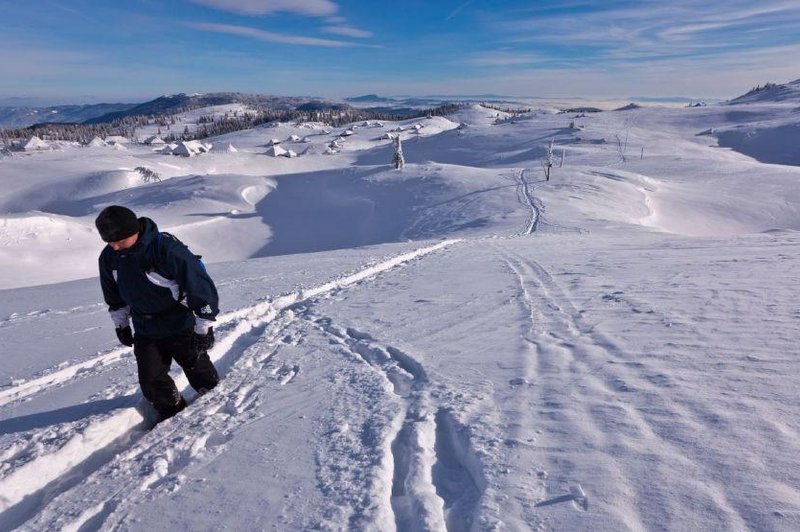 Bela podlaga vse do strehe! Poglejte, kje imajo snega že toliko, da ga je celo preveč (FOTO) (foto: Profimedia)