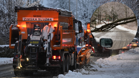 Več tisoč gospodinjstev ostalo brez elektrike: sneg podira drevesa in drogove