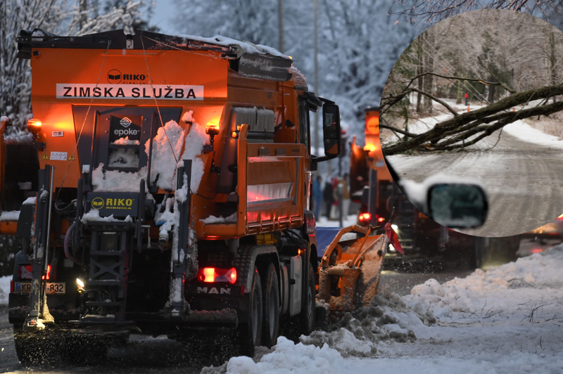 Več tisoč gospodinjstev ostalo brez elektrike: sneg podira drevesa in drogove (foto: Žiga Živulović jr./BOBO/Profimedia/fotomontaža)