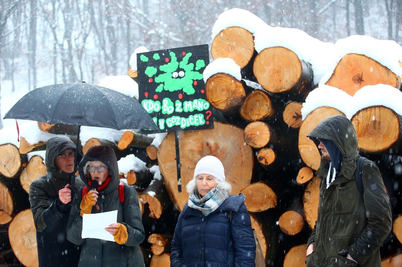 Buren odziv okoljevarstvenikov na sekanje dreves na Rožniku (foto: Borut Živulović/Bobo)