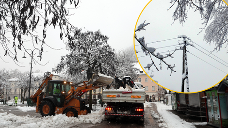 Zaradi snežnih metežev po Sloveniji mnogi prebivalci brez elektrike: pristojni skušajo rešiti težave