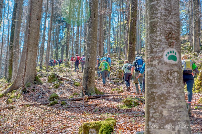 Eden najtežjih pohodov v Sloveniji razprodan v nekaj urah: v čem je tako poseben? (foto: Društvo POMS)