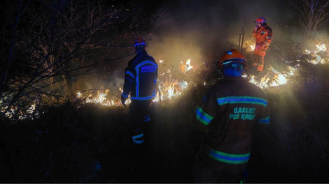 Cigaretni ogorek v Sloveniji zanetil 100 hektarov obsežen požar (FOTO)