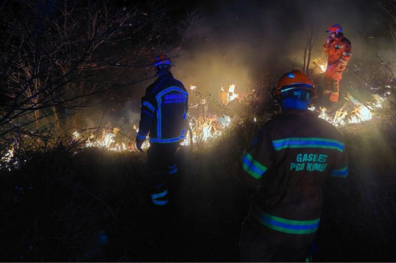 Cigaretni ogorek v Sloveniji zanetil 100 hektarov obsežen požar (FOTO) (foto: Facebook/PGD Komen)