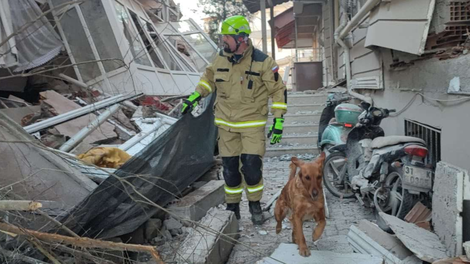 (FOTO in VIDEO) Slovenci, ki v Turčiji iščejo ujete pod ruševinami: "Veliko huje je, kot smo mislili ob prvih posnetkih"