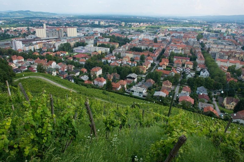 Ljubljana brez uvrstitve, med evropskimi destinacijami leta njena vinorodna tekmica (foto: Profimedia)