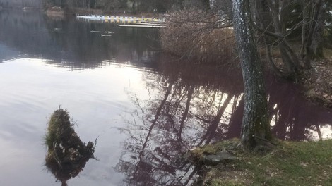 Kaj se dogaja na Blejskem jezeru? Voda ni več modre barve, oglasilo se je ministrstvo (poziv vsem Slovencem)