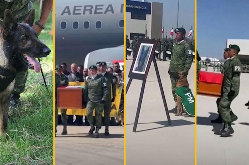 Ganljivo slovo: psa, ki je poginil med reševanjem, pokopali z vojaškimi častmi (VIDEO) (foto: Youtube/posnetek zaslona)