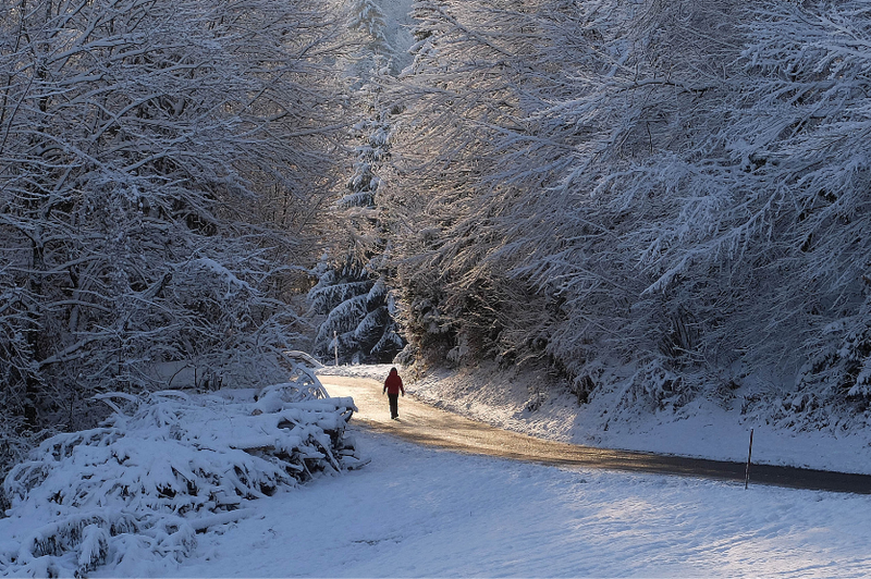 Mnoge prebivalce v Sloveniji je presenetil sneg: ponekod le za vzorec, v nekaterih delih do 30 centimetrov (foto: BOBO)