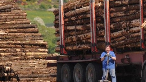 Prizor, ki ga gozdna delavca ne bosta pozabila (FOTO)