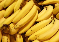 Prepovedana droga med bananami: v enajstih prodajalnah iste trgovske verige odkrili 95 kilogramov kokaina