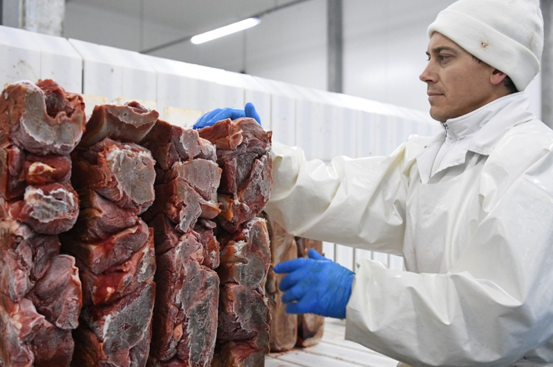 Šokantni posnetki iz prehranske industrije: se bomo mesa res "nažrli do smrti"? (foto: Profimedia)